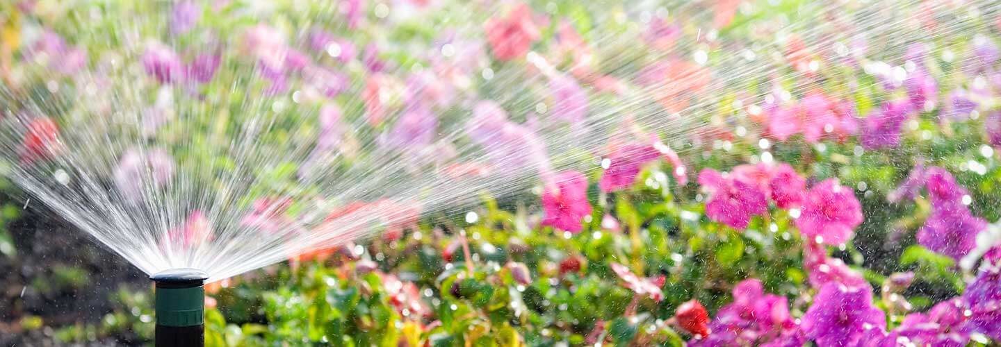 TimObergIrrigation_157558095