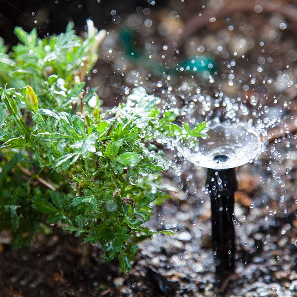 Sprinkler Service with Oberg Irrigation in Bountiful, UT
