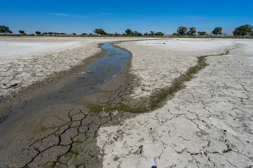 Save Water in Drought-Ridden Climates